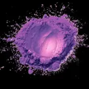 Обложка: Purple Unit - Human Dust