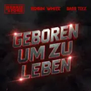 Harris & Ford & ROBIN WHITE & Bass Tixx - Geboren um zu Leben