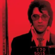 Обложка: Elvis Presley - Tutti Frutti