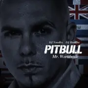 Обложка: Pitbull - Not An Alcoholic