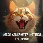 Обложка: The Друзья - Когда улыбаются котики