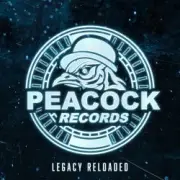 Обложка: Dr. Peacock & Hyrule War - Imagination (Original Mix)