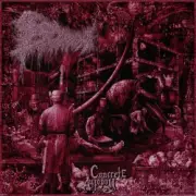 escam - Cranial Cement Injection