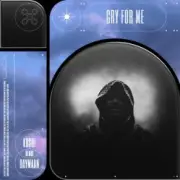 Обложка: The Weeknd - Cry For Me (Koshi & Daymaan Remix)