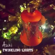 Обложка: Auni - Twinkling Lights