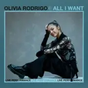 Обложка: Olivia Rodrigo - Stranger