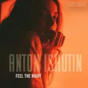 Обложка: Anton Ishutin - Into The Night