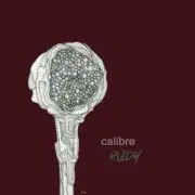 Обложка: Calibre - Tripping out