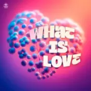 Обложка: SYNFLO & Niki Four - What Is Love