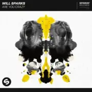 Обложка: Will Sparks - Are You Crazy