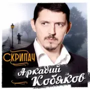 Обложка: Аркадий Кобяков - Скрипач