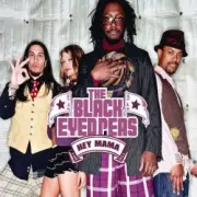 Обложка: The Black Eyed Peas - Positivity (Live From House Of Blues, Chicago)