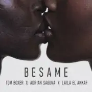 Обложка: Tom Boxer & Adrian Saguna & Laila El Akkaf - Besame