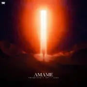 Обложка: Tungevaag & Nethy Aber - Amame