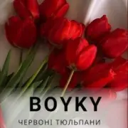 Обложка: Бойки - Червоні тюльпани