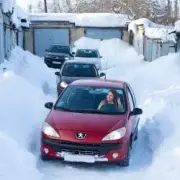 Обложка: Пьянков Михаил Александрович - Красное Пежо