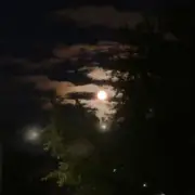 Обложка: ALEKCION - Ніч кохання