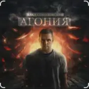 Обложка: Влад Соколовский - Агония