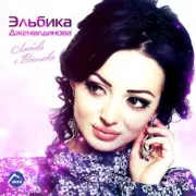 Обложка: Elbika - Дождь