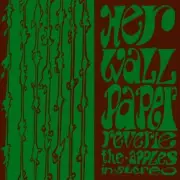 Apples In Stereo - Lying With A Friend