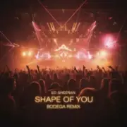 Обложка: Ed Sheeran - Shape of you (Bodega Remix)