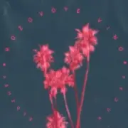 Обложка Элджей & Feduk & Авария – Розовое Новогоднее Вино