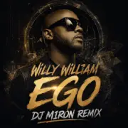 Willy William - Ego (Dj M1ron Remix)