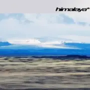 camoufly - Himalaya
