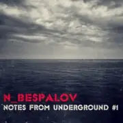 Обложка: N_Bespalov - Silence
