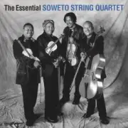 Обложка: The String Quartet - Paint in black