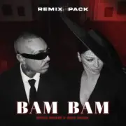 Обложка: Misha Miller &  Alex Velea - Bam Bam