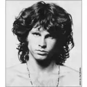 Обложка: The Doors - Wild Child