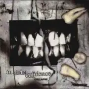 Обложка: In Strict Confidence - Falling Down (Tearing Thorns Version)