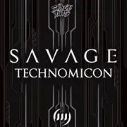 Обложка: Savage & Section 63 - Daemons