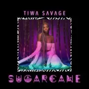 Обложка: Tiwa Savage - Sugarcane