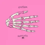 Обложка: Shmiska & хейтспіч - сліди