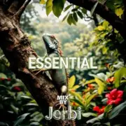 Обложка: Jerbi - Fav Tracks Mix: ESSENTIAL || Uplifting Trance Mix