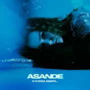 Обложка: ASANDE - И снова вверх...