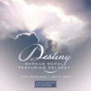 Обложка: Markus Schulz feat. Delacey - Destiny (Kyau & Albert Remix)