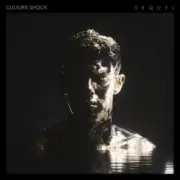 Обложка: Culture Shock - White Nights