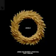 Обложка: Armin van Buuren & Punctual feat. EVALINA - Angels