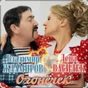 Обложка: Лена Василёк & Владимир Ждамиров - Огонёчек