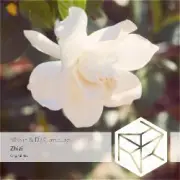 Обложка: DJ Classbuse & SINKin - Zhizi (Extended Mix)