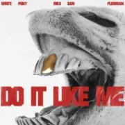 Обложка: White Pony & Riko Dan & Flowdan - Do It LIke Me (VIP)