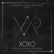 Обложка: DJ Bahler & Frail Limb Purity - Leaving in the Mourning