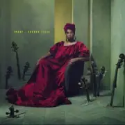 Обложка: Imany - Wonderful Life