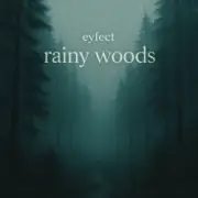 Обложка: eyfect - rainy woods
