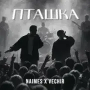 Обложка: NAIMES & VECHIR - пташка
