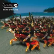 Обложка: The Prodigy - Narayan