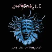 Обложка: Shpongle - Vapour Rumours